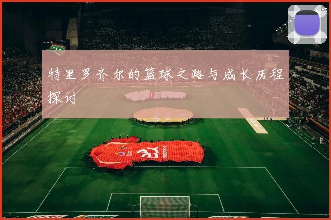 特里罗齐尔的篮球之路与成长历程探讨