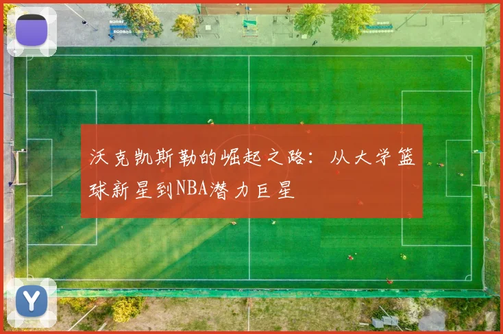 沃克凯斯勒的崛起之路：从大学篮球新星到NBA潜力巨星